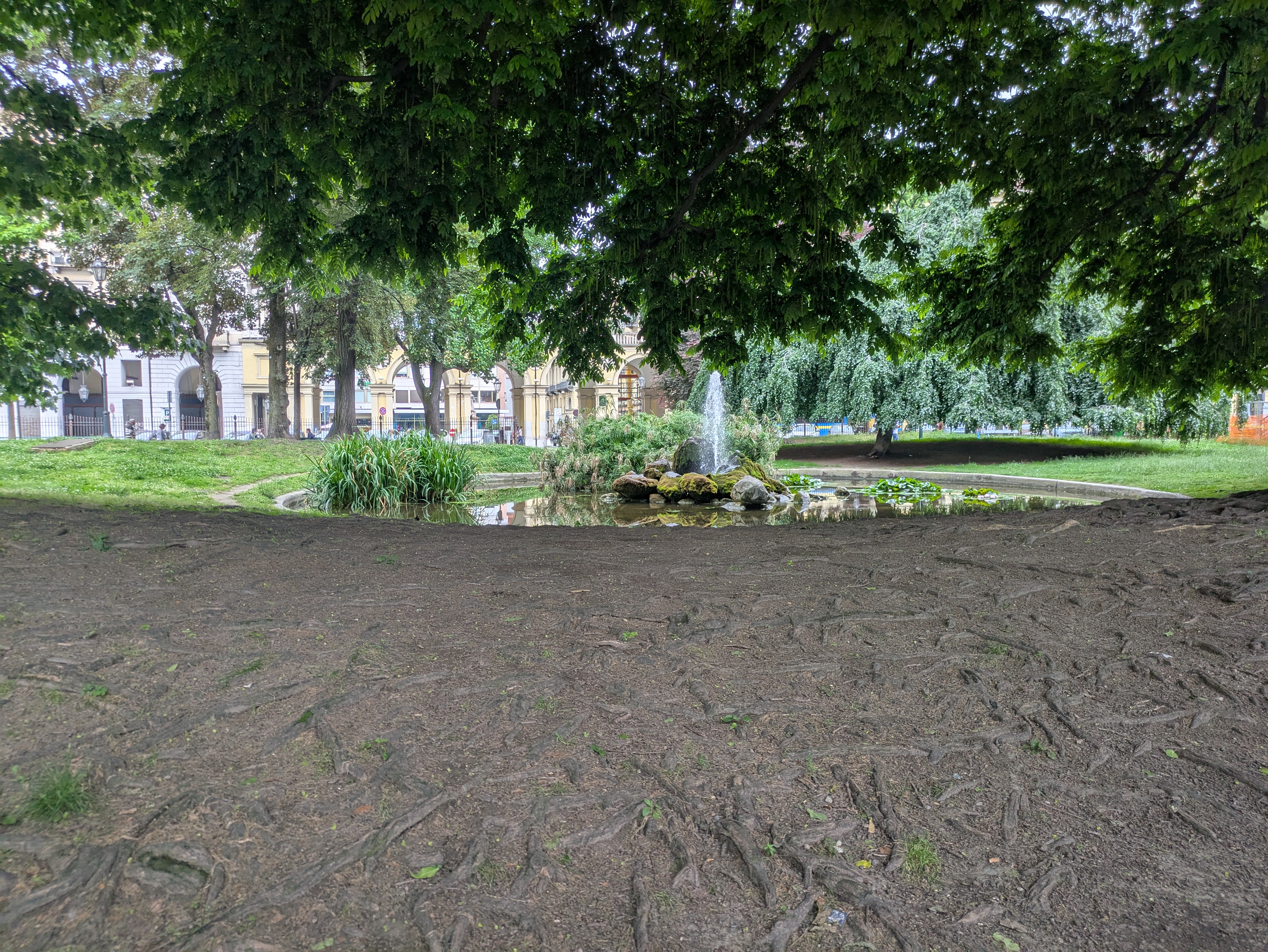 landscape