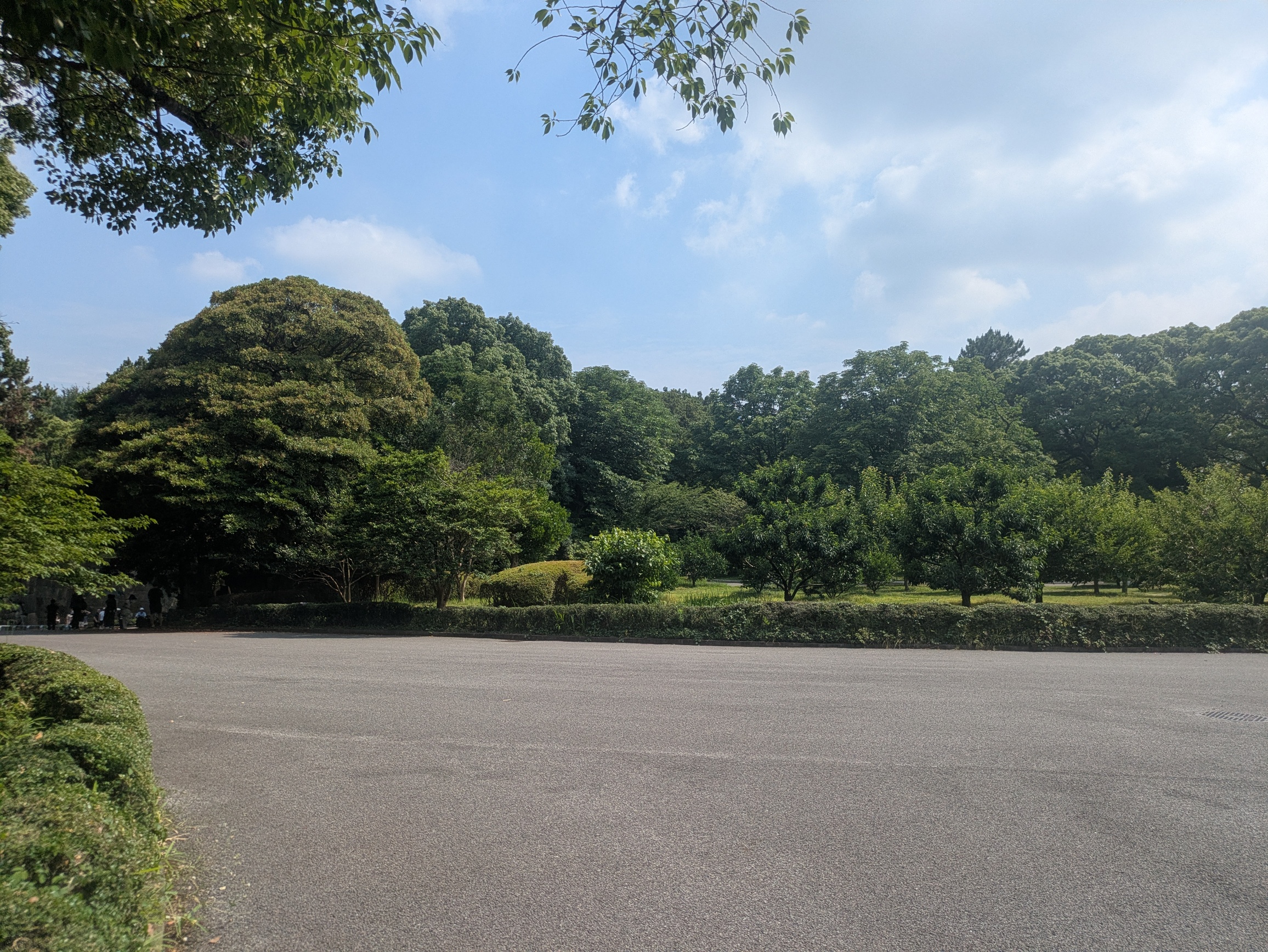 landscape