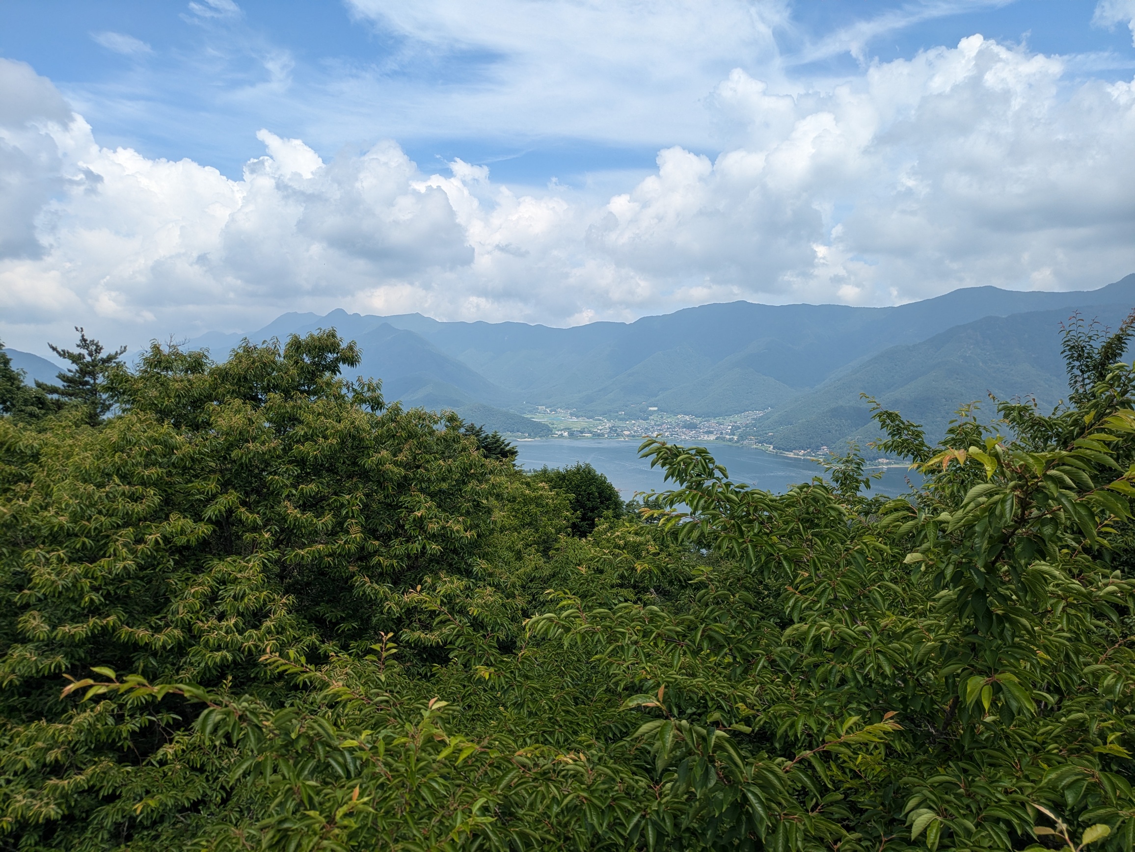 landscape