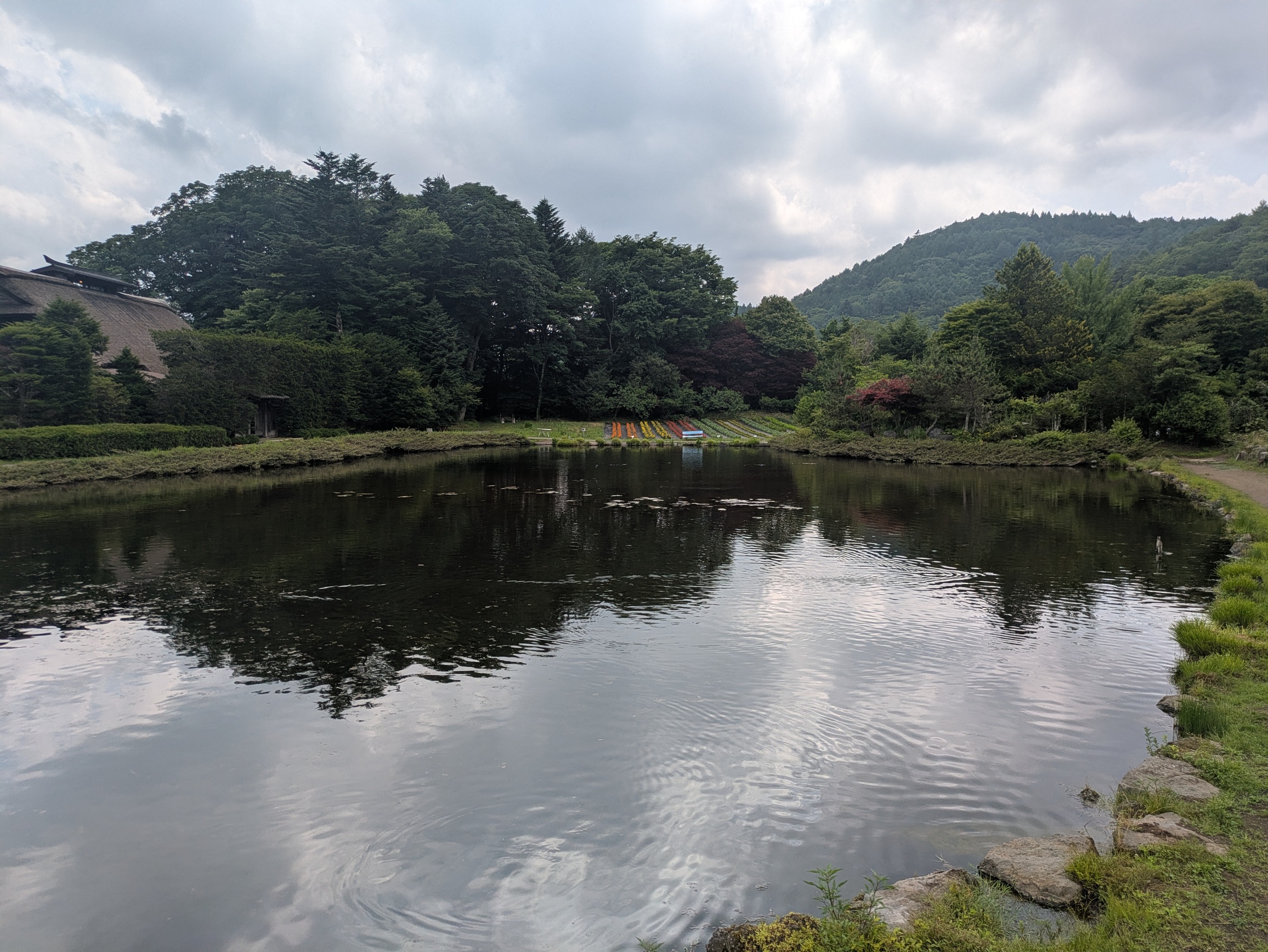 landscape