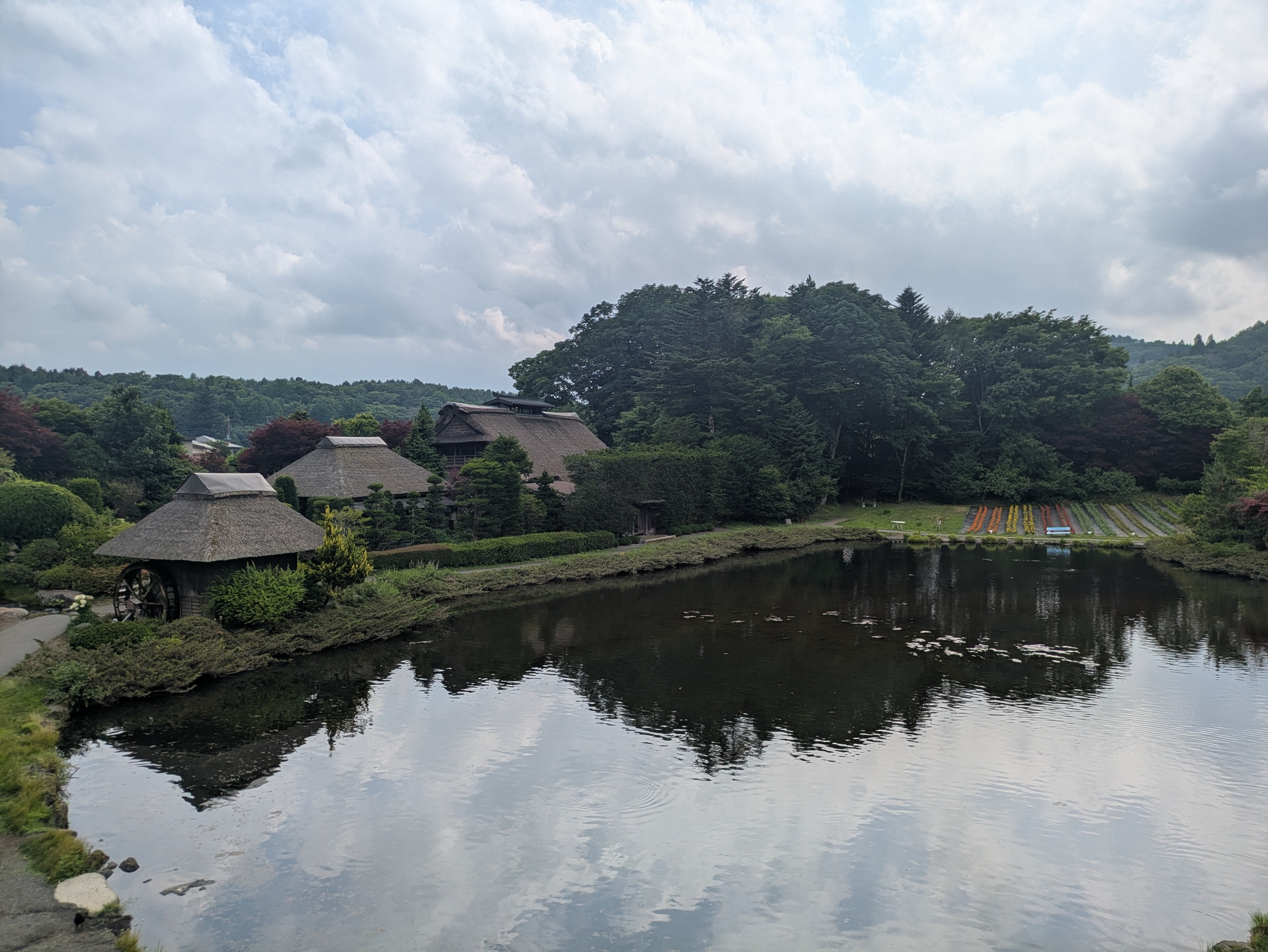 landscape