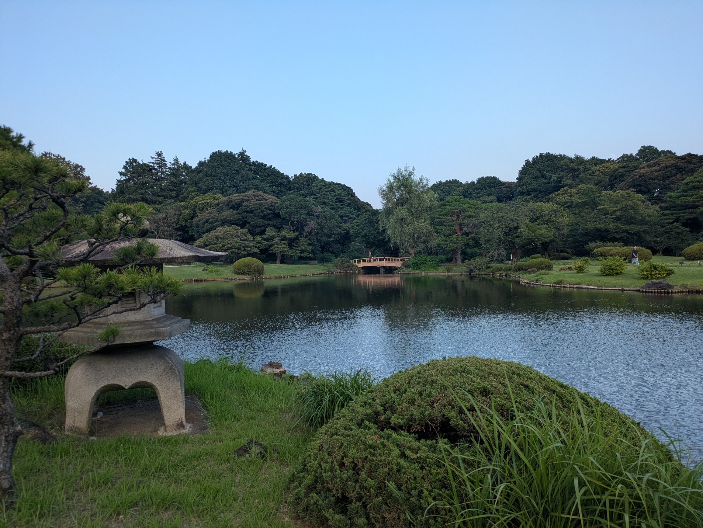 landscape