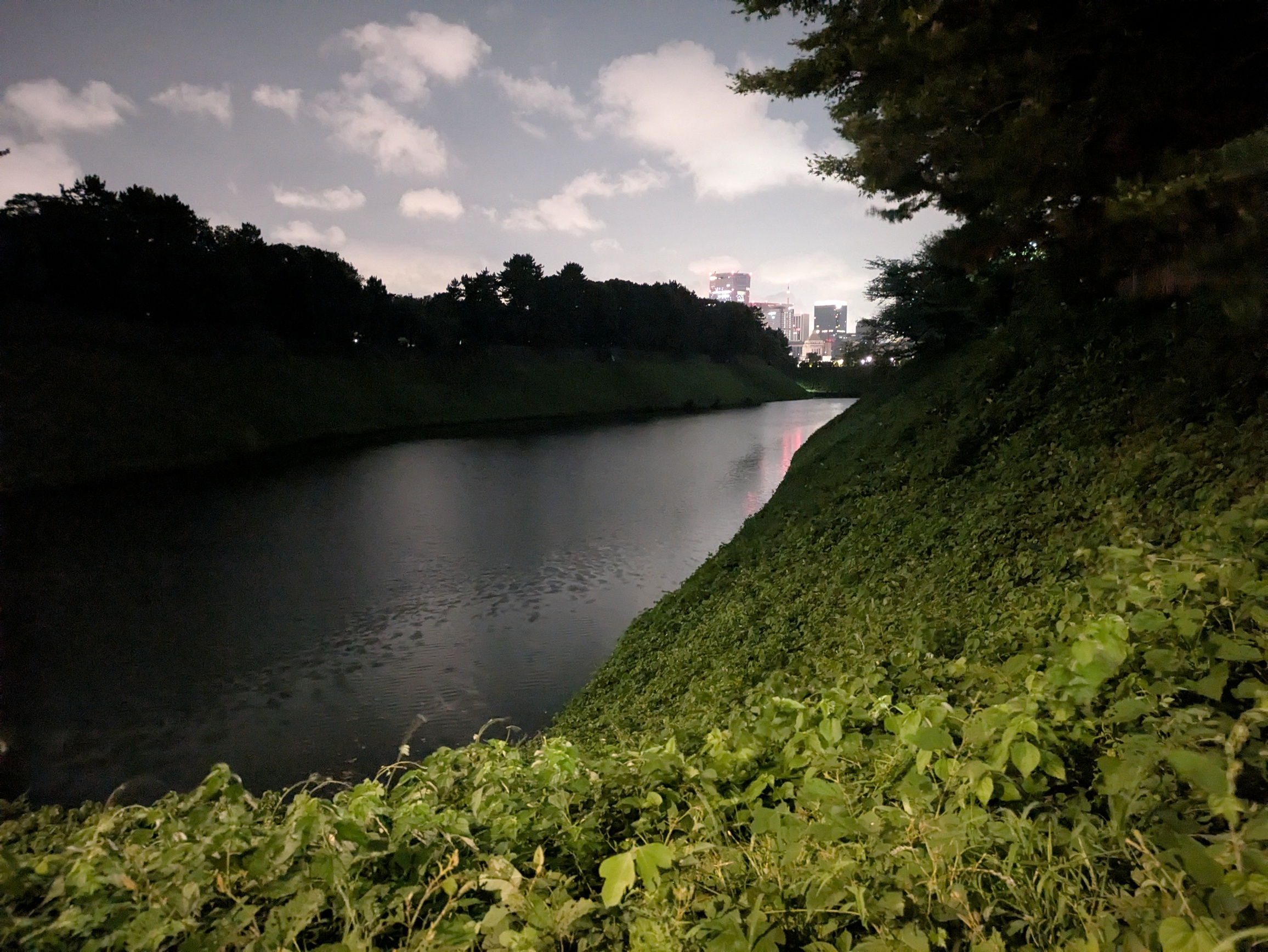 landscape