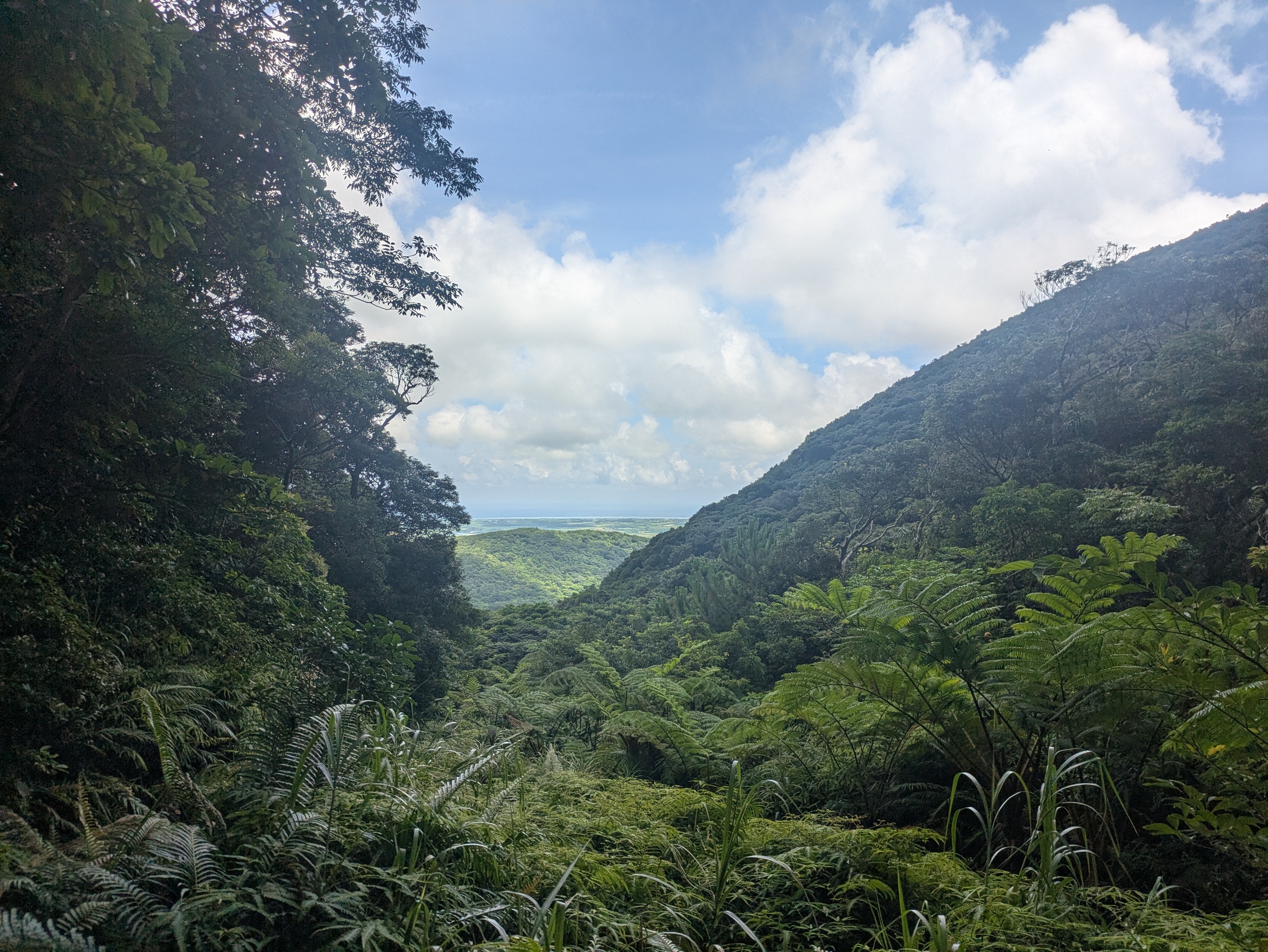 landscape