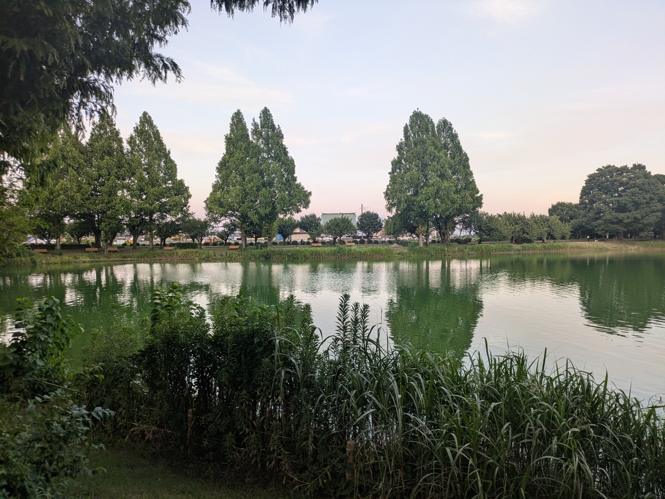 landscape