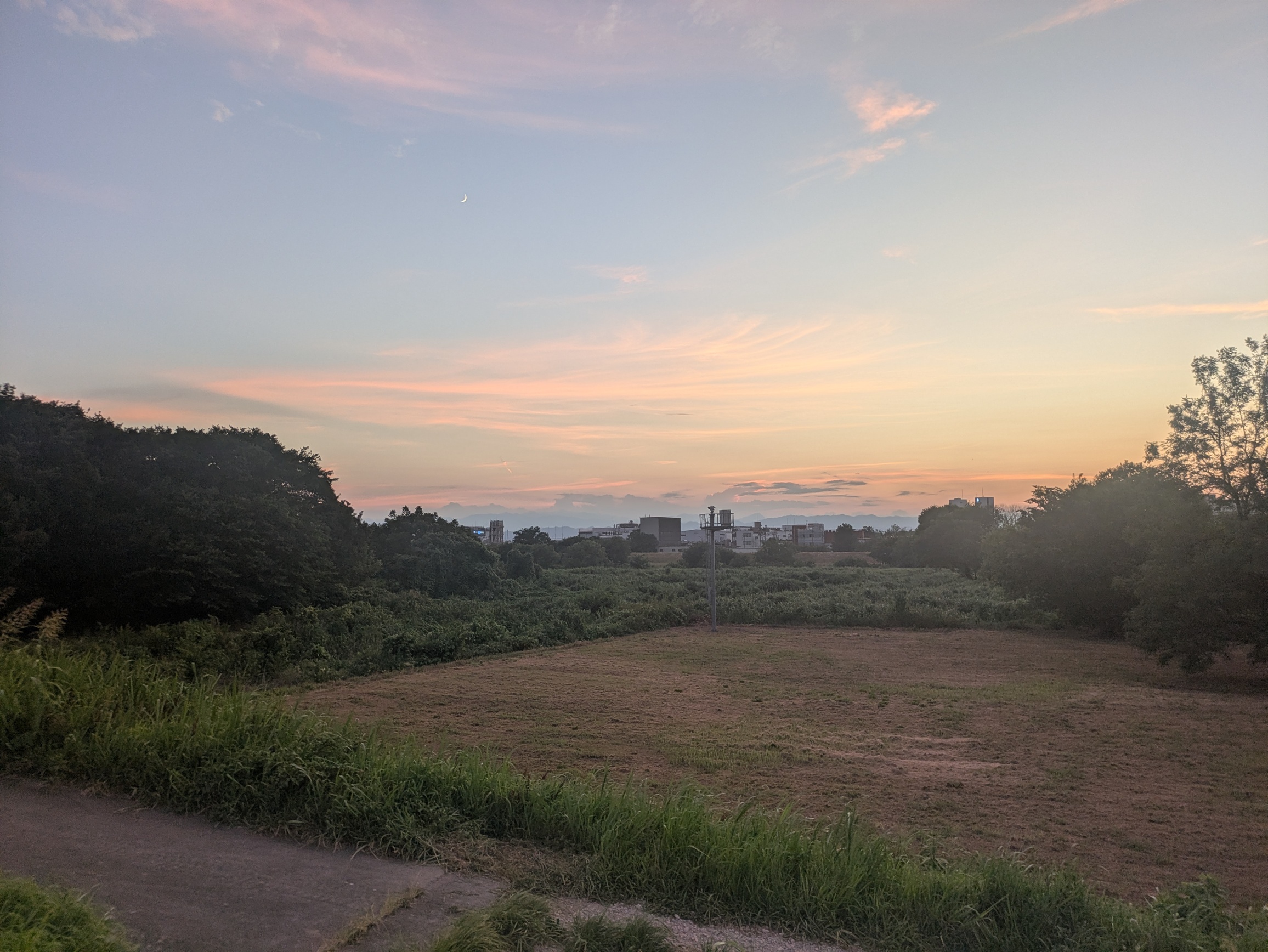 landscape