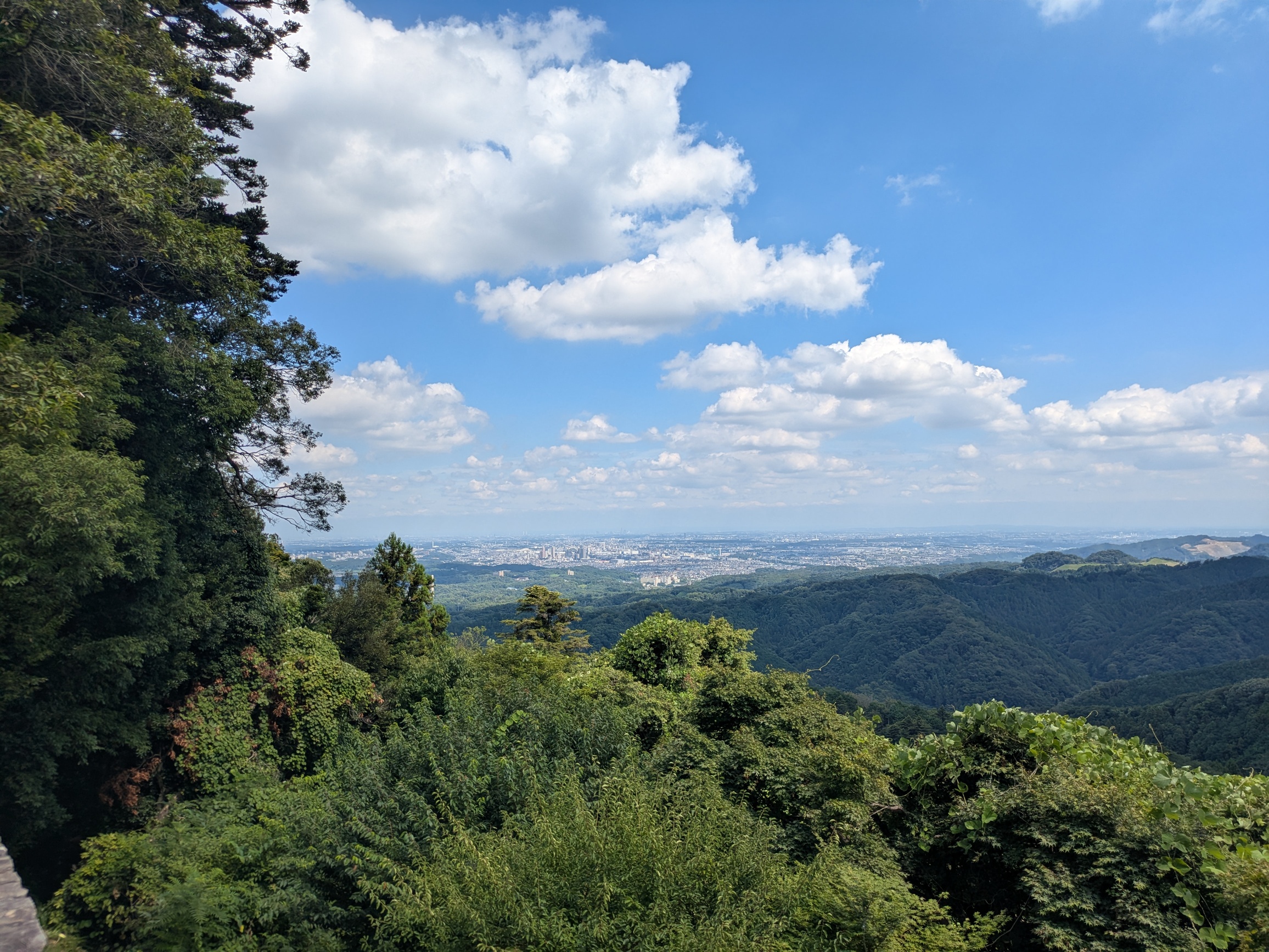 landscape