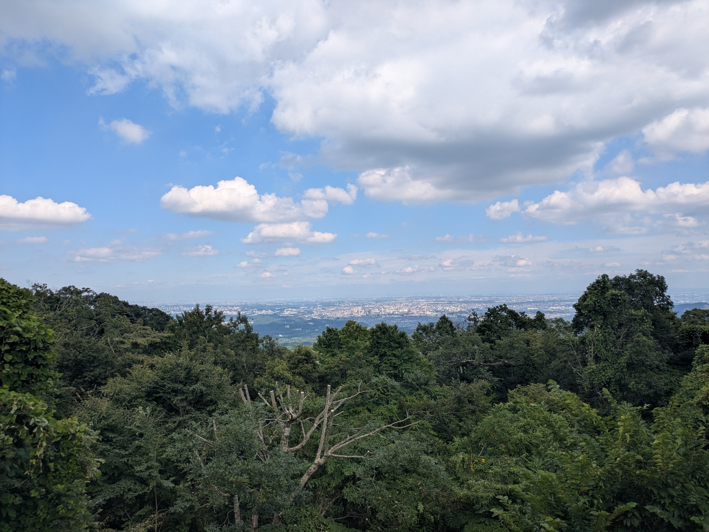 landscape