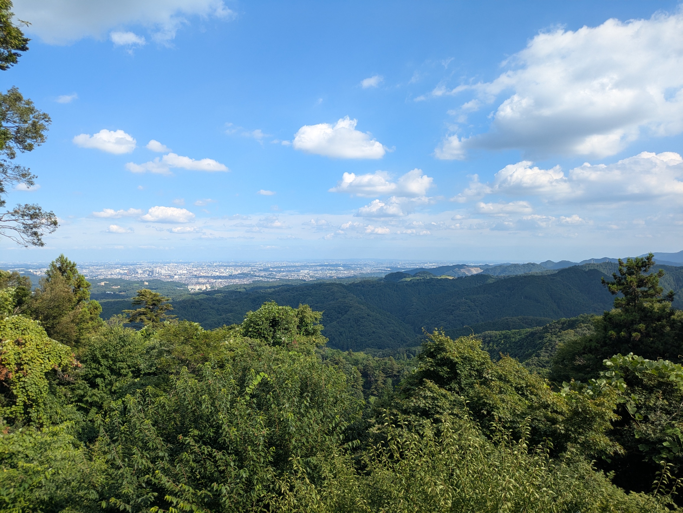 landscape